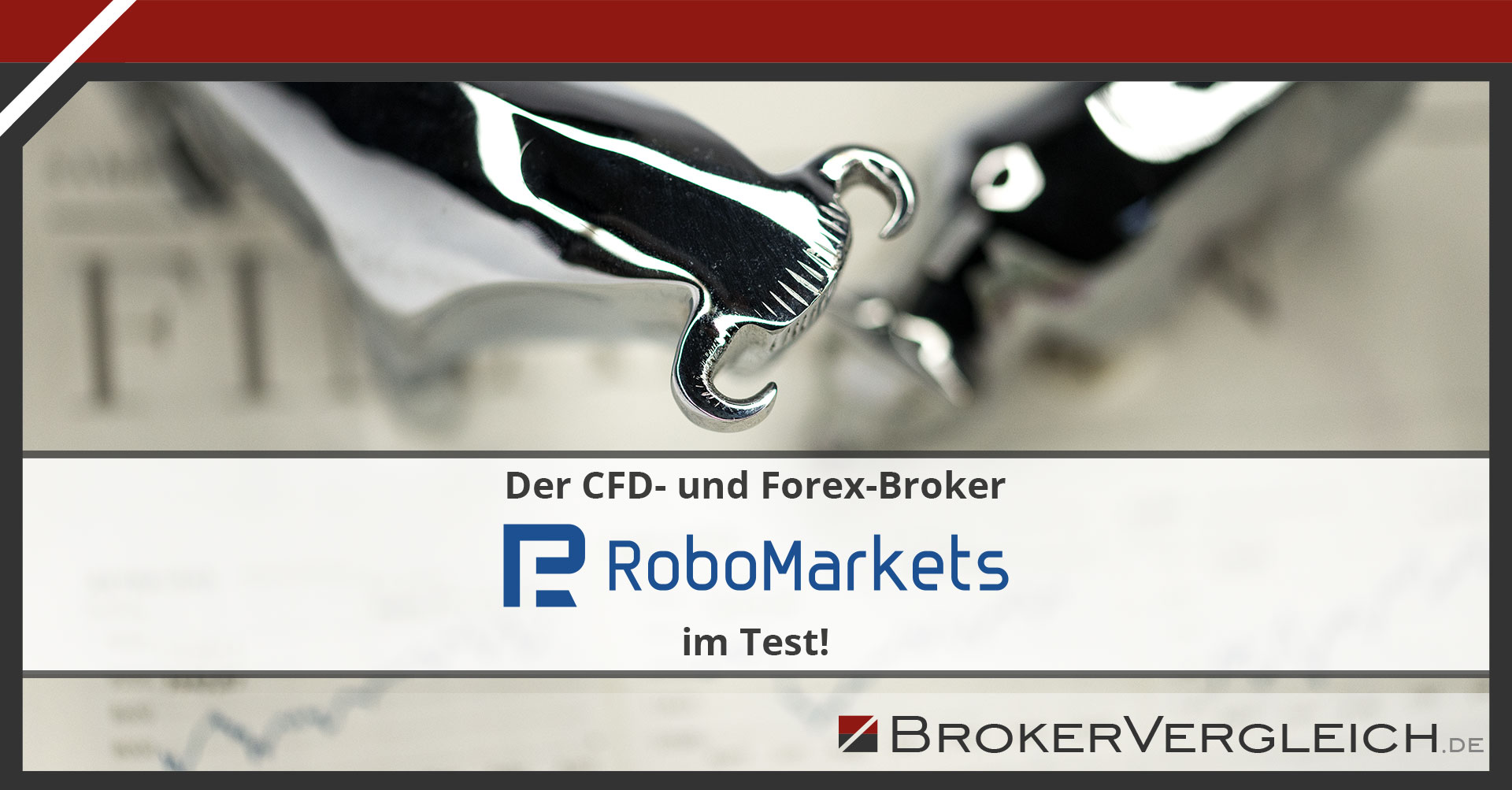 Robomarkets Cfd Und Forex Broker Im Test - 